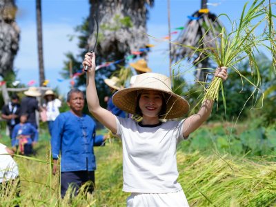 SS Rice News Convention 2025, Pattaya - Thailand